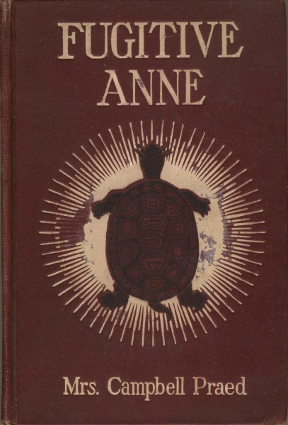 Nueva Colecci&oacute;n